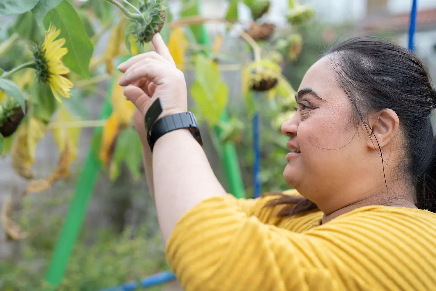A woman with down syndrome is outdoors playing with sunflowers